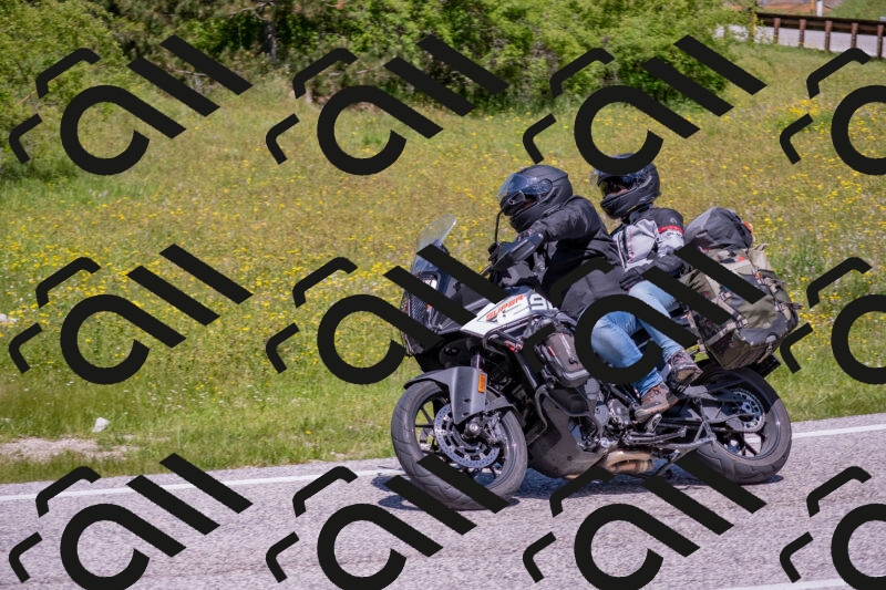 202506021205-DSC_8559_c4_