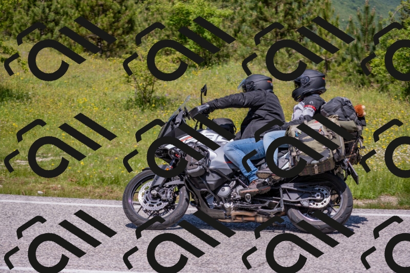 202506021205-DSC_8560_c4_