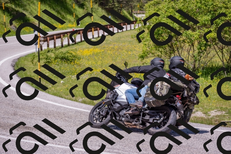 202506021205-DSC_8561_c4_