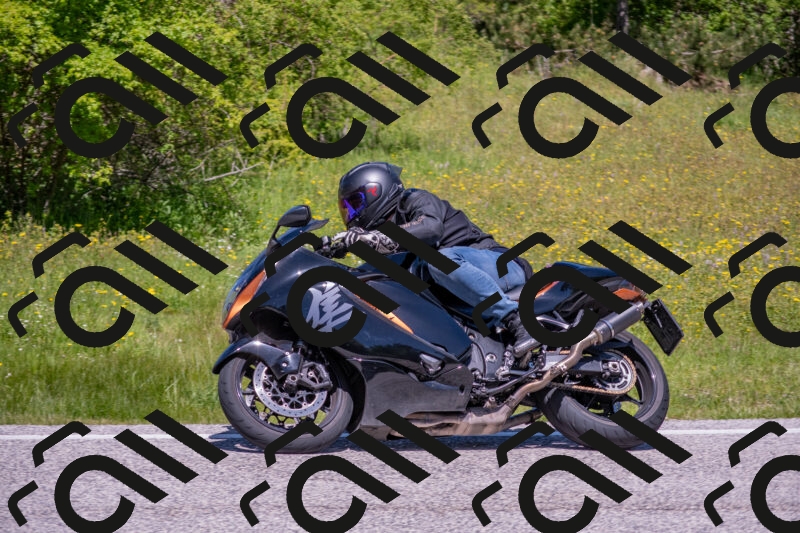 202506021205-DSC_8564_c4_