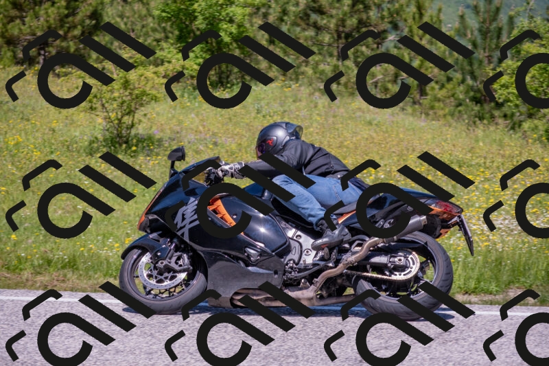 202506021205-DSC_8565_c4_