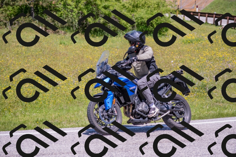 202506021205-DSC_8567_c4_