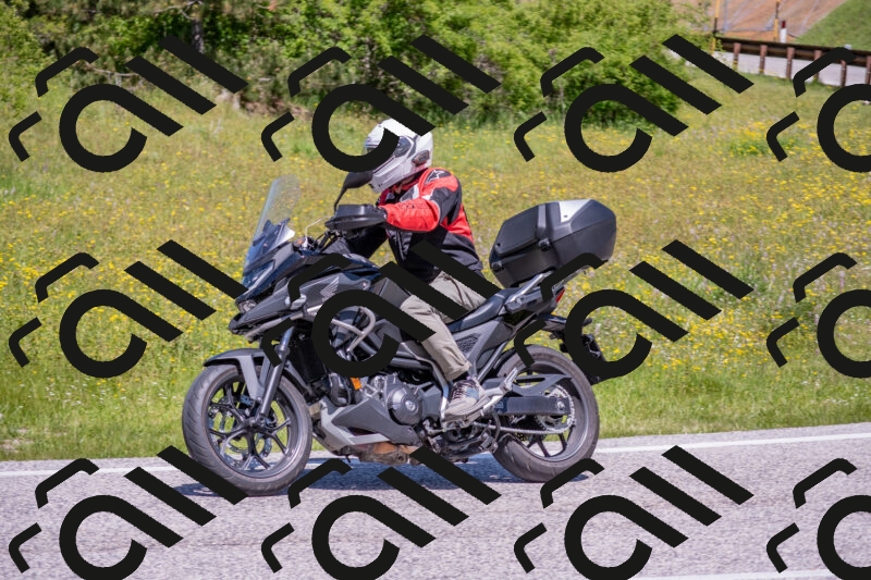 202506021205-DSC_8568_c4_