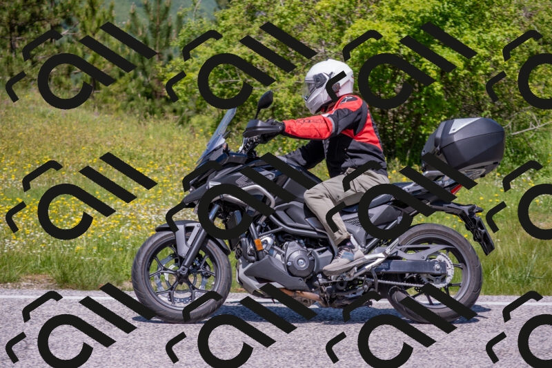 202506021205-DSC_8569_c4_