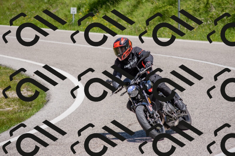 202506021207-DSC_8571_c4_