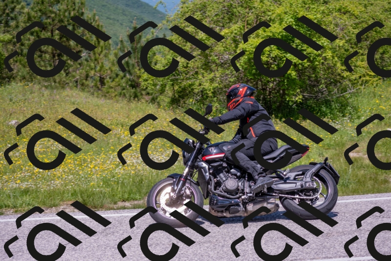 202506021207-DSC_8573_c4_