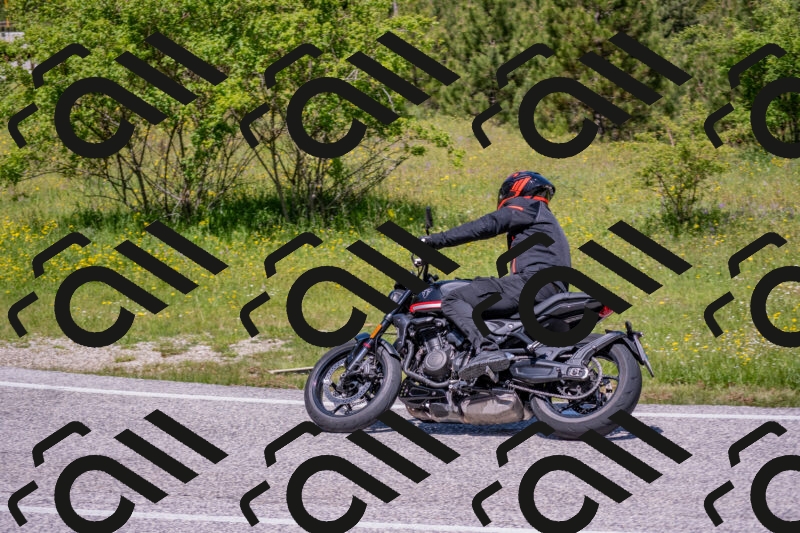 202506021207-DSC_8574_c4_