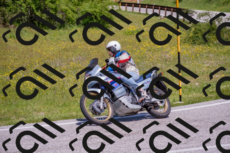 202506021207-DSC_8577_c4_