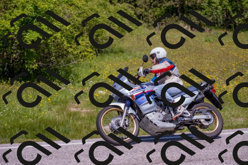 202506021207-DSC_8578_c4_