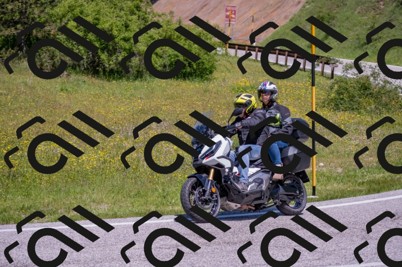 202506021207-DSC_8579_c4_