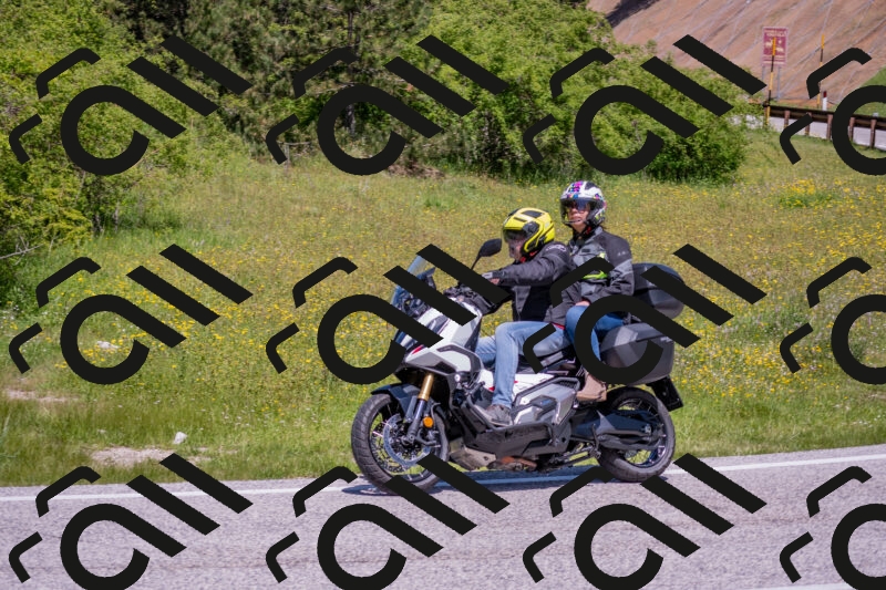 202506021207-DSC_8580_c4_