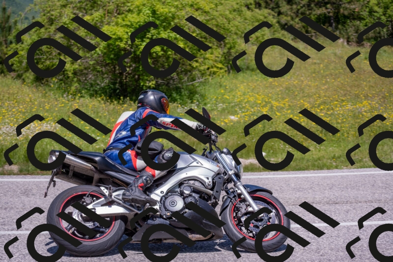 202506021207-DSC_8582_c4_