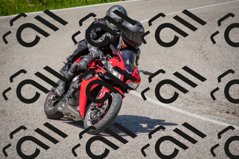 202506021207-DSC_8583_c4_