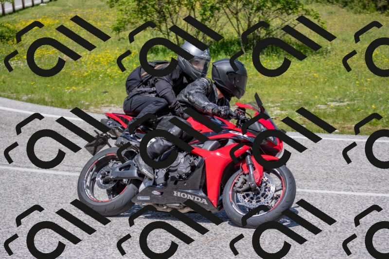 202506021207-DSC_8584_c4_