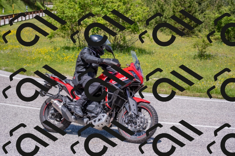 202506021207-DSC_8587_c4_