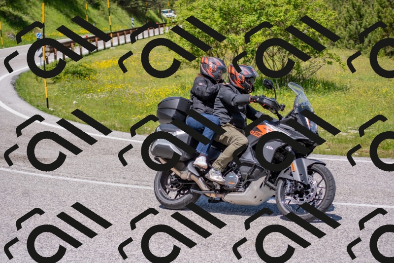 202506021207-DSC_8588_c4_