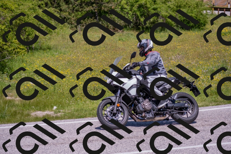 202506021208-DSC_8591_c4_