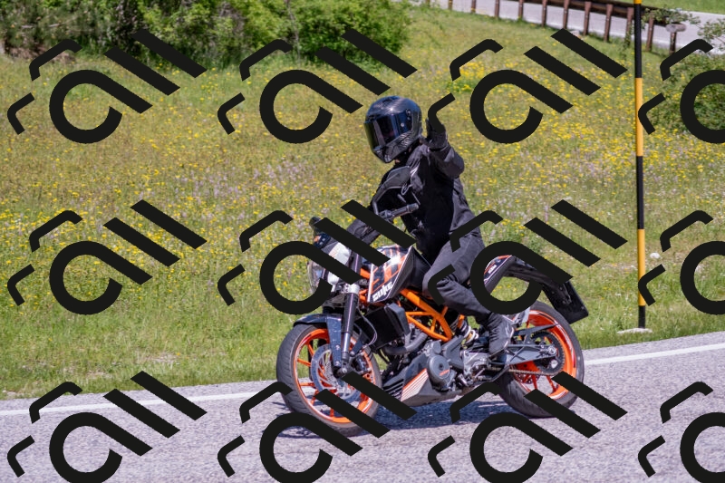 202506021208-DSC_8593_c4_