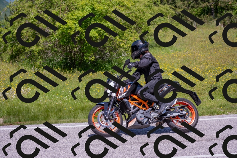 202506021208-DSC_8594_c4_