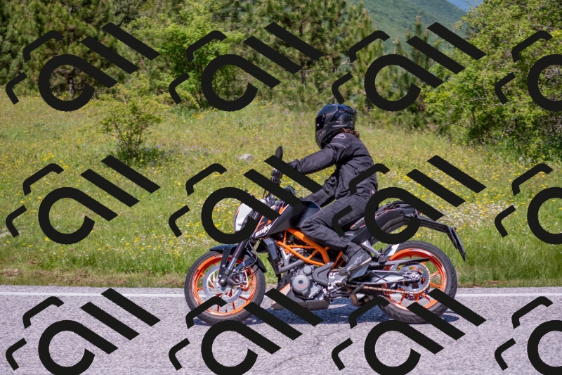 202506021208-DSC_8595_c4_