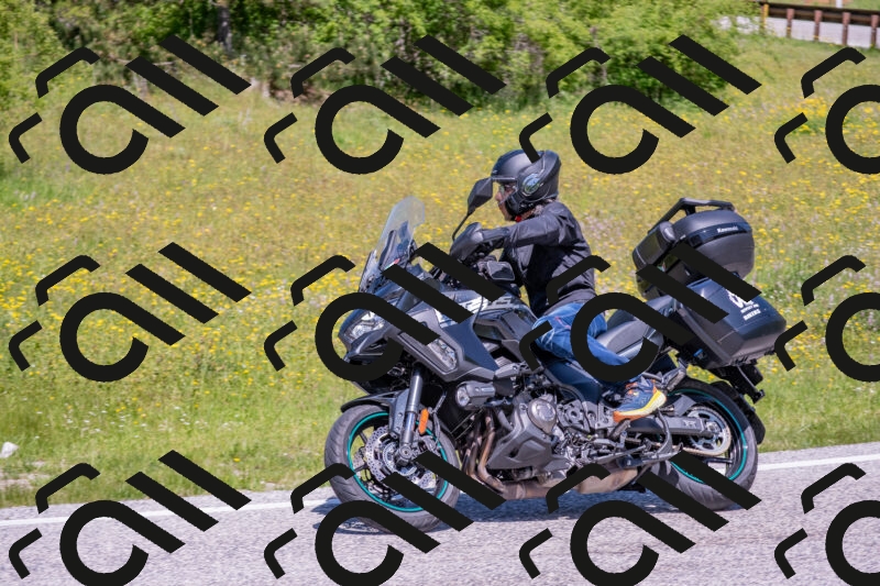 202506021208-DSC_8600_c4_