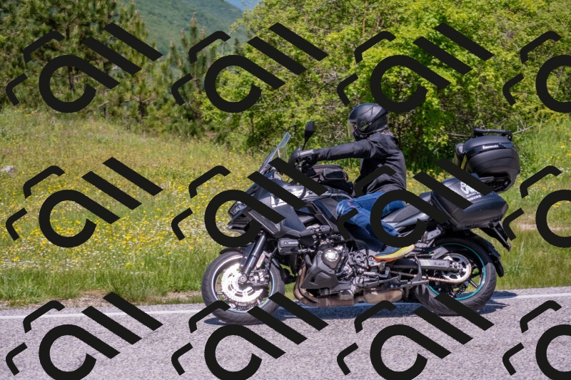 202506021208-DSC_8601_c4_