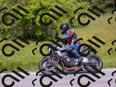 202506021208-DSC_8603_c4_