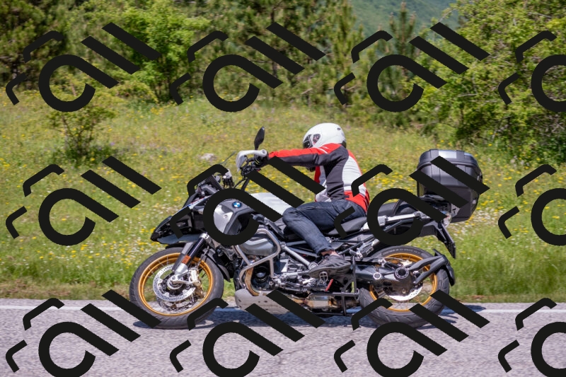 202506021208-DSC_8604_c4_