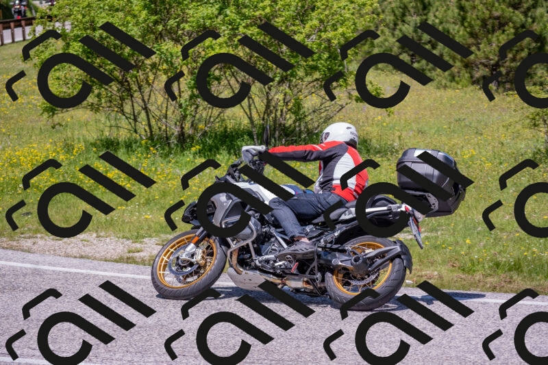 202506021208-DSC_8605_c4_