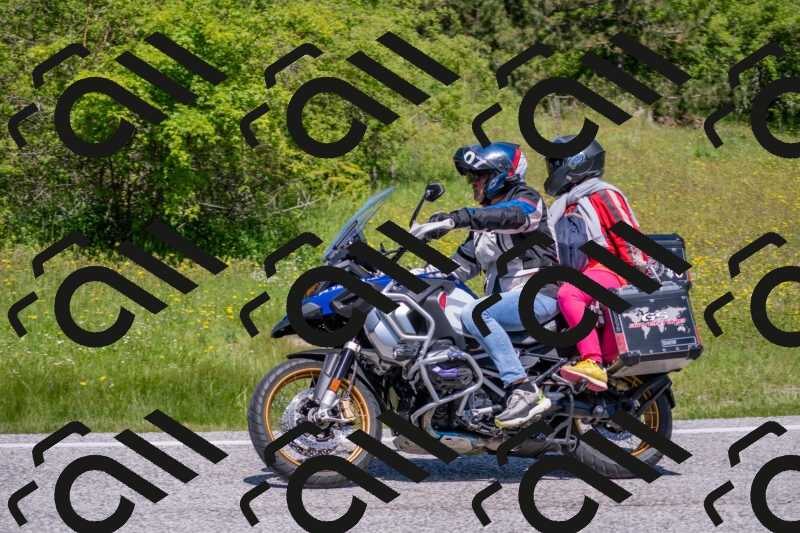 202506021209-DSC_8612_c4_