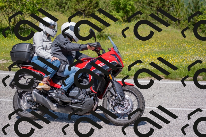 202506021209-DSC_8614_c4_