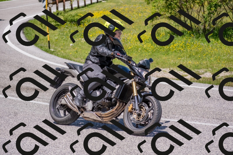 202506021209-DSC_8615_c4_