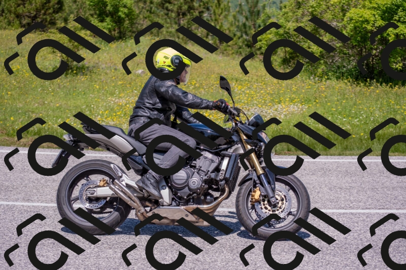 202506021209-DSC_8616_c4_