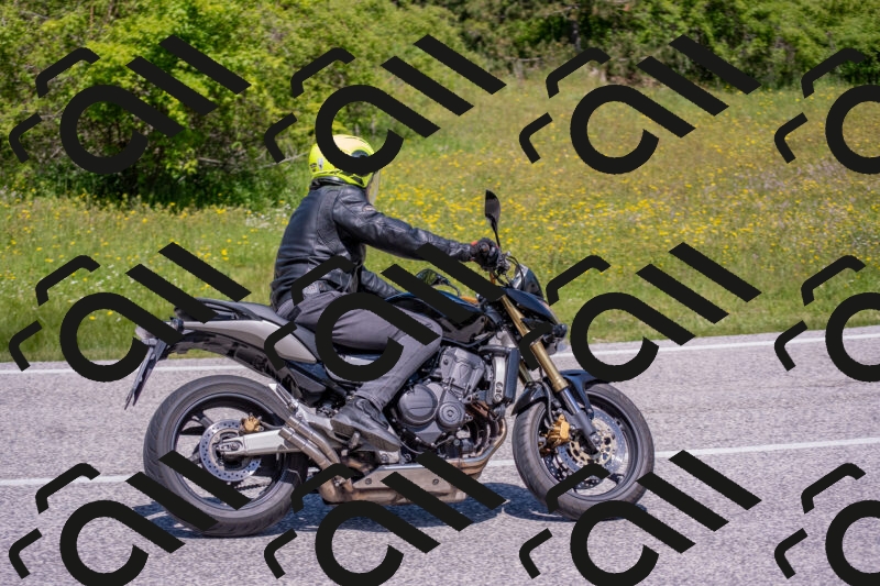 202506021209-DSC_8617_c4_