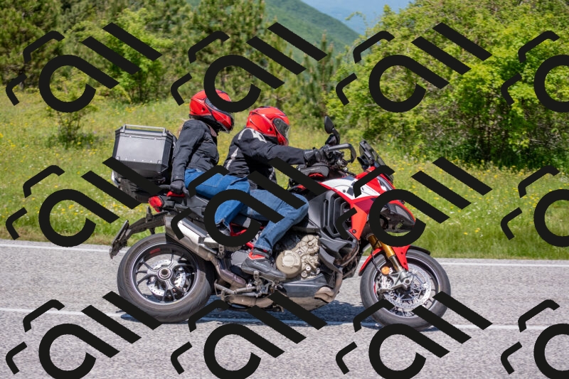 202506021209-DSC_8620_c4_