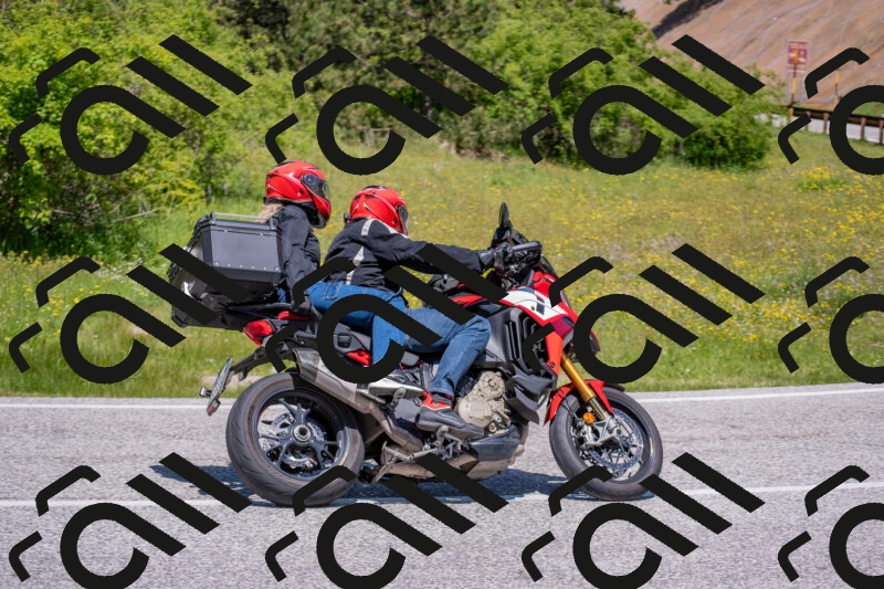 202506021209-DSC_8621_c4_