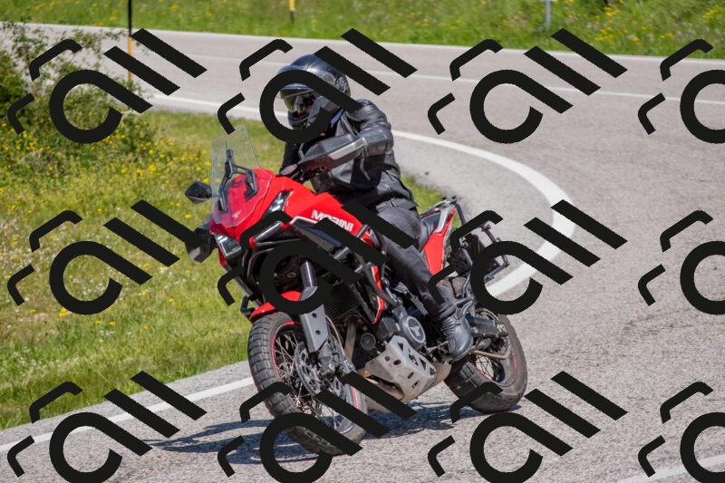 202506021209-DSC_8625_c4_