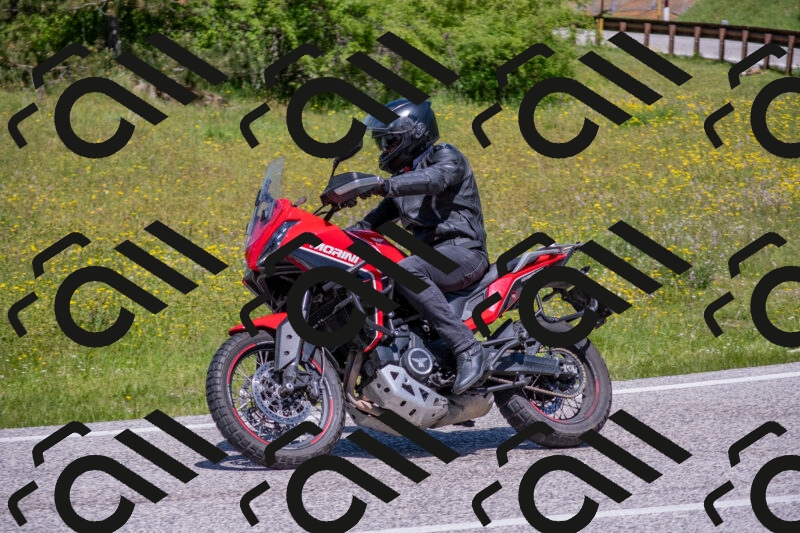 202506021209-DSC_8626_c4_