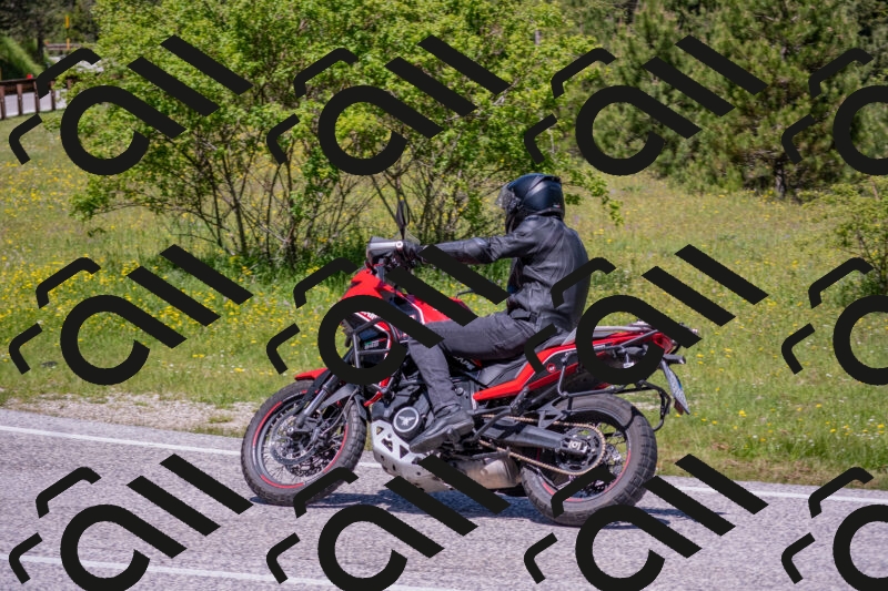 202506021209-DSC_8628_c4_