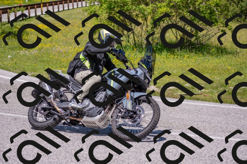 202506021210-DSC_8630_c4_