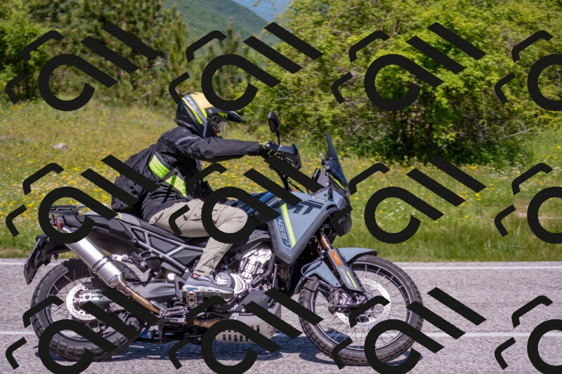 202506021210-DSC_8631_c4_