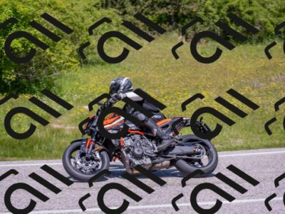 202506021210-DSC_8633_c4_