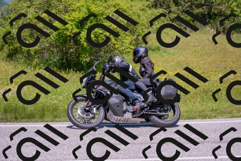 202506021210-DSC_8634_c4_