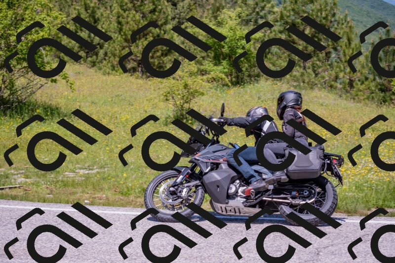 202506021210-DSC_8635_c4_