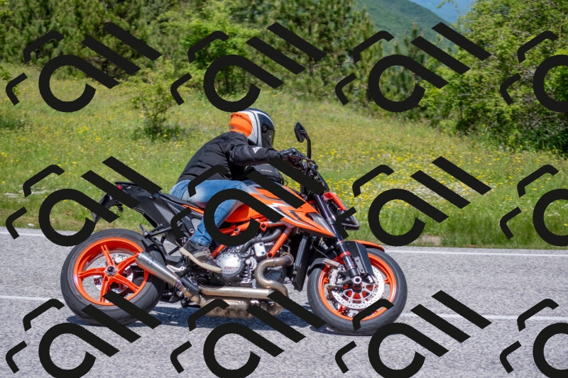 202506021212-DSC_8647_c4_