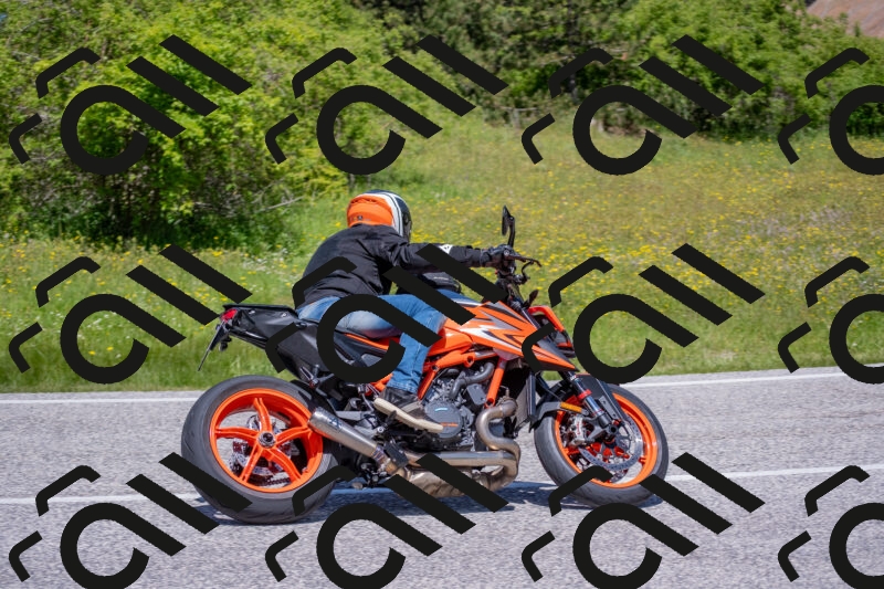 202506021212-DSC_8648_c4_