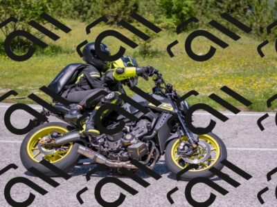 202506021212-DSC_8651_c4_