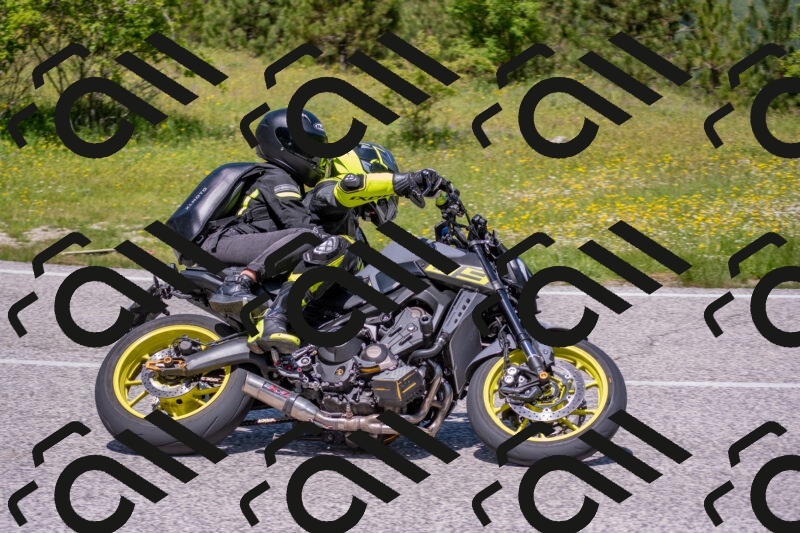 202506021212-DSC_8651_c4_