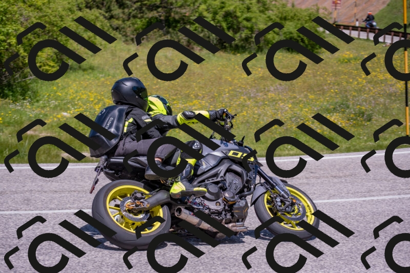 202506021212-DSC_8652_c4_