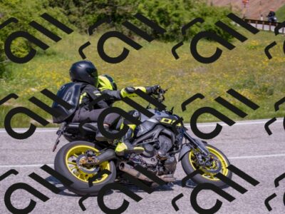 202506021212-DSC_8652_c4_